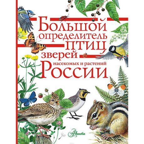 Издательство АСТ Энциклопедия "Большой определитель птиц, зверей, насекомых и растений России"