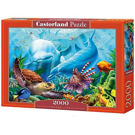 Castorland Пазл Castorland "Жизнь океана" 2000 деталей