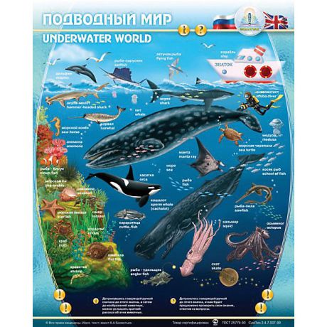 Знаток Электронный звуковой плакат "Подводный Мир"