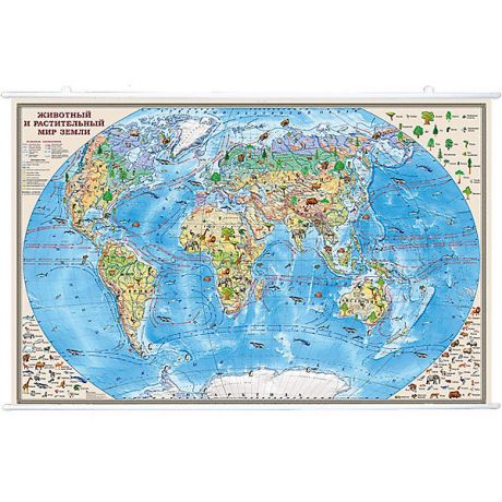 Издательство Ди Эм Би Карта "Животный и растительный мир Земли" 1:35М на рейках