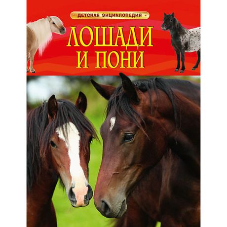 Росмэн Детская энциклопедия "Лошади и пони"