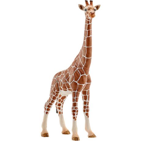 Schleich Коллекционная фигурка Schleich "Дикие животные" Жираф, самка
