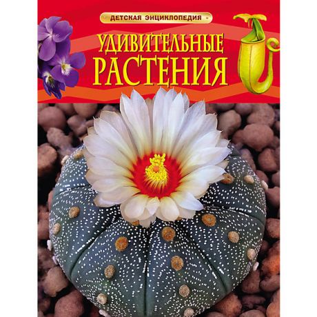 Росмэн Детская энциклопедия "Удивительные растения"