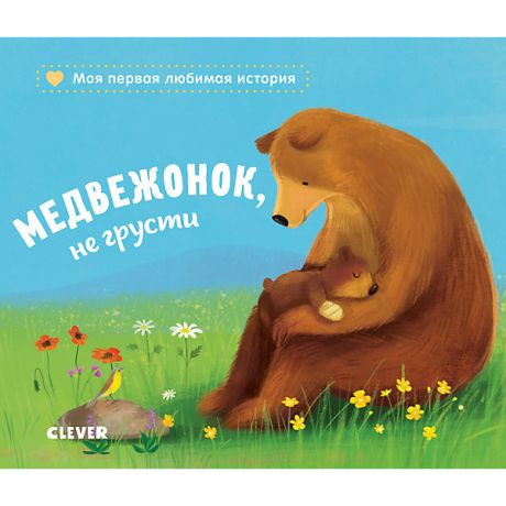 Clever Книжка-картонка "Медвежонок, не грусти", Райдер К.