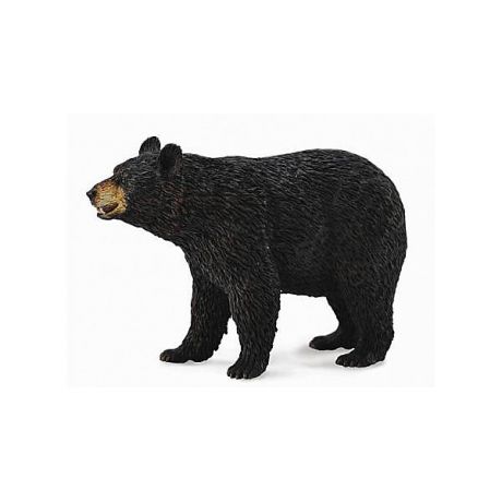 Collecta Коллекционная фигурка Collecta Американский чёрный медведь