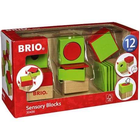BRIO Развивающие кубики Brio, 6 деталей