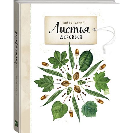 Манн, Иванов и Фербер Книга Мой гербарий "Листья деревьев"