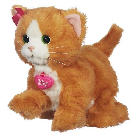 Hasbro Игривый котенок Дэйзи, FurReal