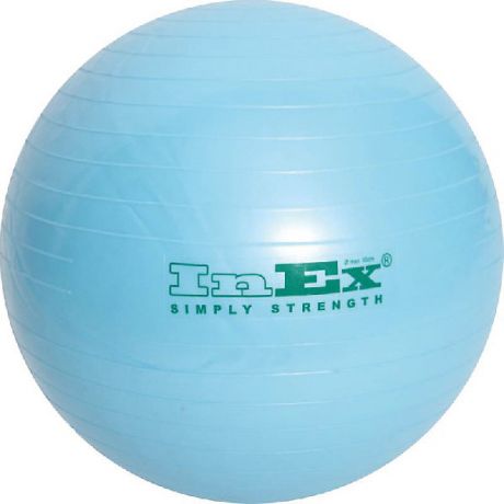 Inex Мяч гимнастический INEX 55 см