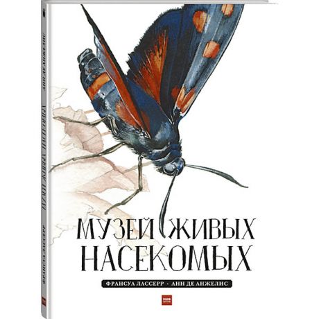 Манн, Иванов и Фербер Книга "Музей живых насекомых"