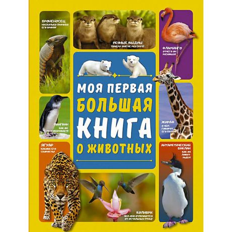 Издательство АСТ Моя первая большая книга о животных