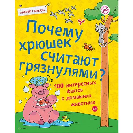 ПИТЕР Почему хрюшек считают грязнулями? 100 интересных фактов о домашних животных