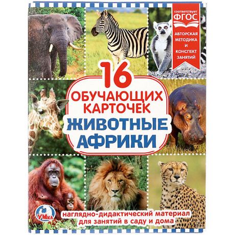 Умка Обучающие карточки Умка «Животные Африки»