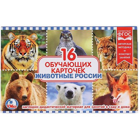 Умка Обучающие карточки Умка «Животные России»