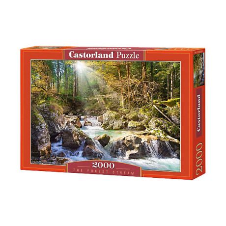 Castorland Пазл Castorland "Лесной ручей", 2000 деталей