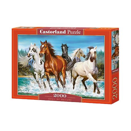 Castorland Пазл Castorland "Бегущие лошади", 2000 деталей