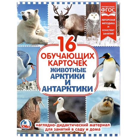 Умка Обучающие карточки Умка «Животные Арктики и Антарктиды»