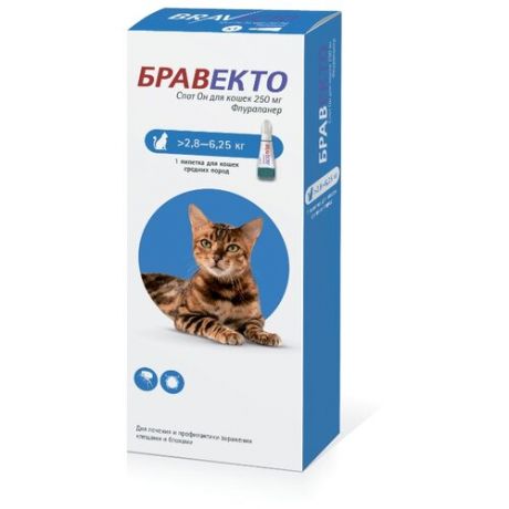 Бравекто (MSD Animal Health) капли от блох и клещей Спот Он для кошек 2,8-6,25 кг