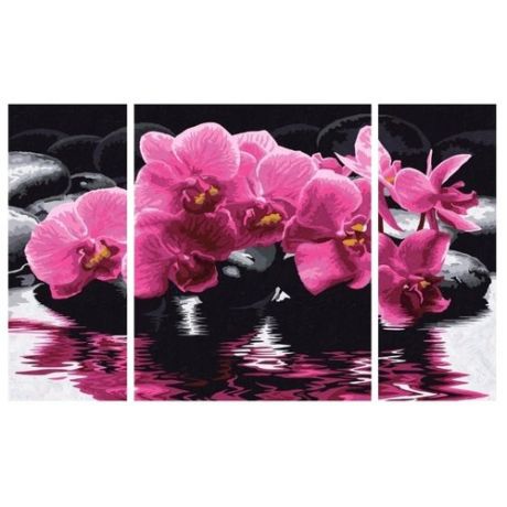 Schipper Картина по номерам "Орхидеи" 50х80 см (9260603)