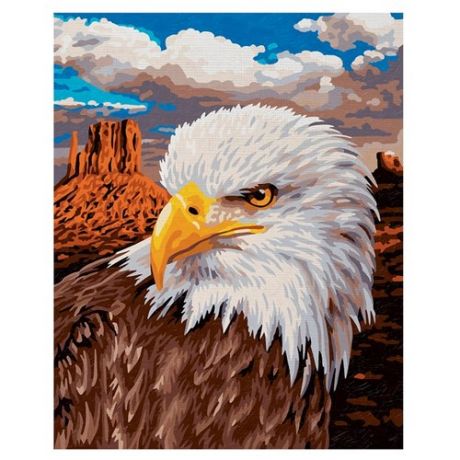 Schipper Картина по номерам "Белоголовый орлан" 30х24 см (9240665)