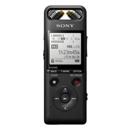 Диктофон SONY PCM-A10 16Гб, черный [pcma10.ce7]