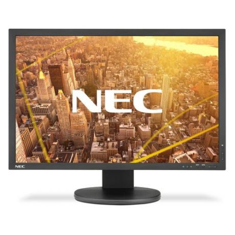 Монитор NEC PA243W-BK 24", черный