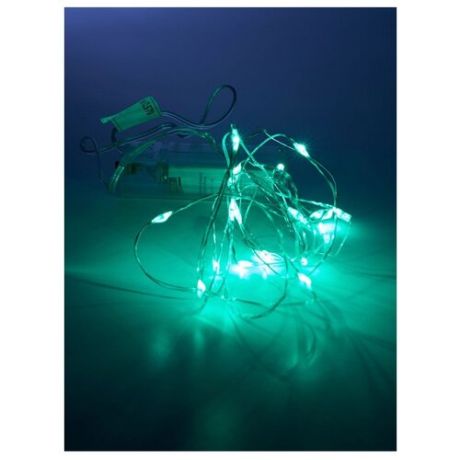 Гирлянда Feron Нить CL570 200 см, 20 ламп, зеленые диоды/прозрачный провод