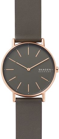 Женские часы Skagen SKW2794