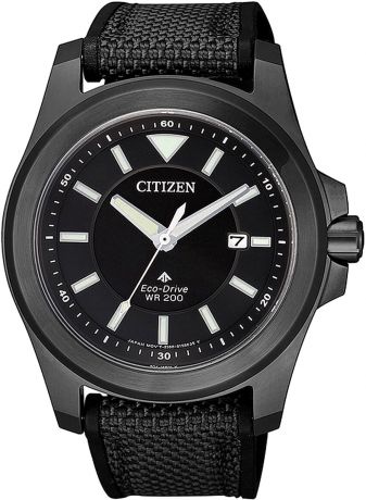 Мужские часы Citizen BN0217-02E