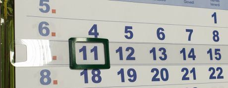 Календарные курсоры на жесткой ленте, 2-ой размер, 301-320 мм, 100 шт, зеленые