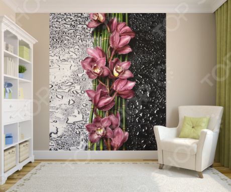 Фотообои ТамиТекс «Орхидея на стекле». Количество полотен: 2 шт
