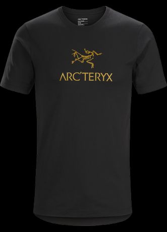 Футболка Arcteryx Arcteryx Arc