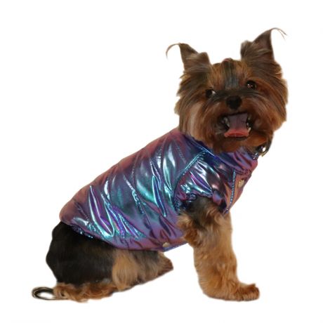 Куртка для собак YORIKI Хамелеон унисекс S 20 см