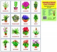 Дем. картинки СУПЕР Комнатные растения.16 раздаточных карточек с текстом (63х87мм)