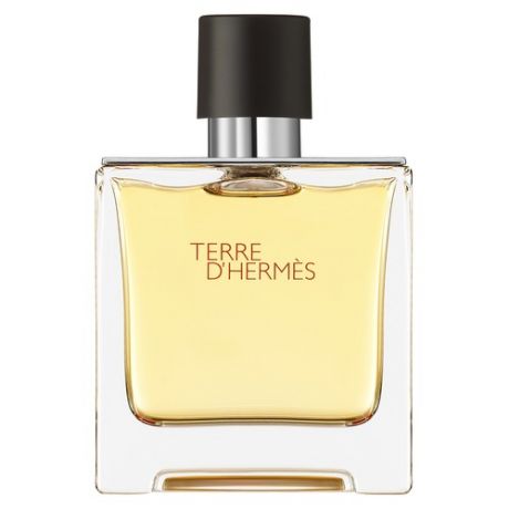 HERMES Terre d