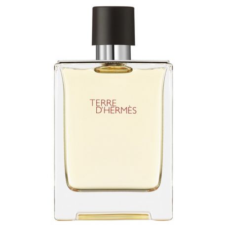 HERMES Terre d