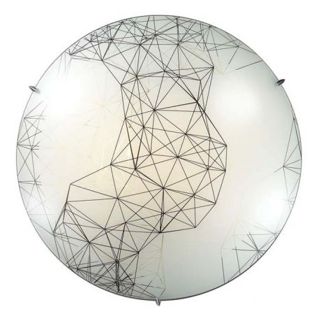 Светильник настенно-потолочный светодиодный Webi 2217/CL, 15.75 м², белый свет, цвет белый/черный