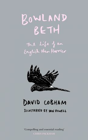 David Cobham Bowland Beth: The Life of an English Hen Harrier