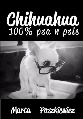 Marta Paszkiewicz Chihuahua 100% psa w psie