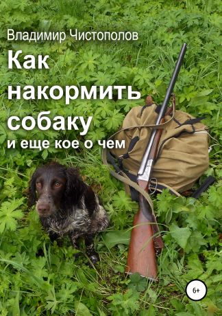 Владимир Иванович Чистополов Как накормить собаку и еще кое о чем
