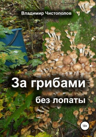 Владимир Иванович Чистополов За грибами без лопаты
