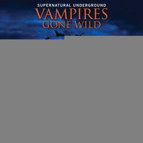 Pamela Palmer Vampires Gone Wild (Supernatural Underground)