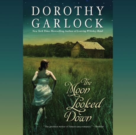 Dorothy Garlock Moon Looked Down