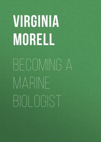 Virginia Morell Becoming a Marine Biologist