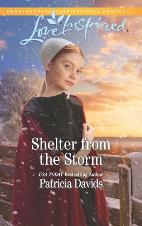 Patricia Davids Shelter From The Storm