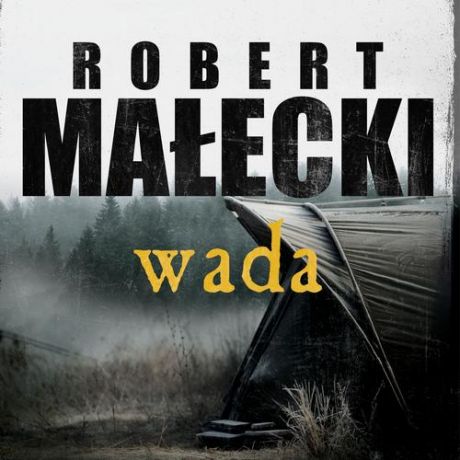 Robert Małecki Wada