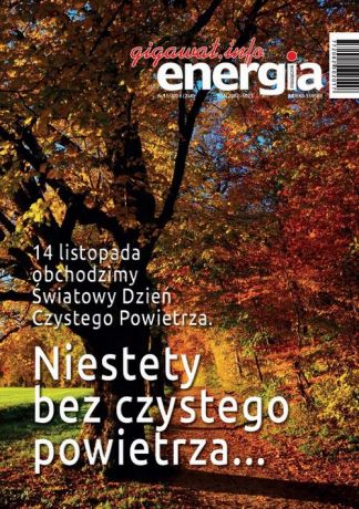 Sylwester Wolak Energia Gigawat nr 11/2018