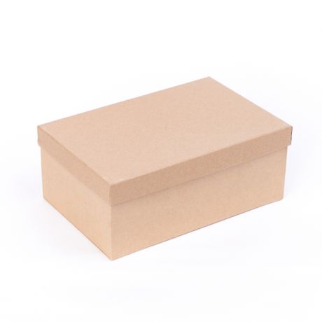 Подарочная упаковка (картон) универсальная (коробка) (коричневый) 240х155х95 мм