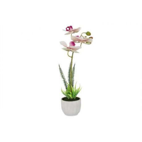 Декоративные цветы Dream Garden, Орхидея бело-сиреневая, 14*10*35 см, в вазе