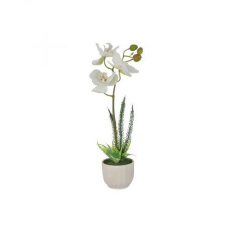 Декоративные цветы Dream Garden, Орхидея белая,14*10*35 см, в вазе
